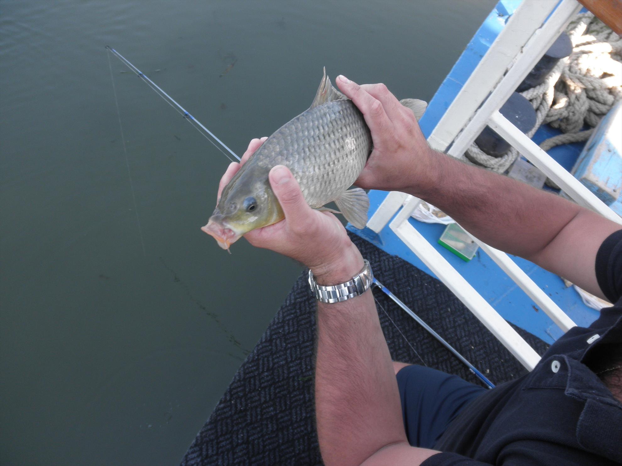 Delta - relaxare - pana la urma am cedat si am aruncat undita in apa